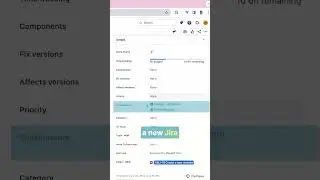 How to assign a Jira issue to different people?