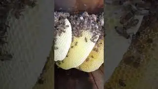 Sabah Dokuzda işbaşı 
