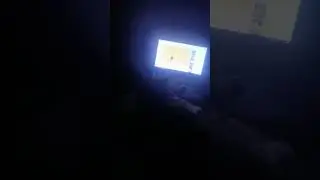 Кот смотрит видео