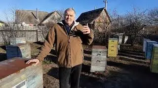 Сколько мёда можно продать в розницу