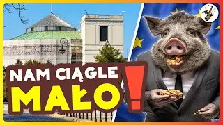 🦇NUTOPERZE🦇 - Podatek od uśmiechu #parodia #discopolo #polska #polityka