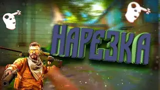 Чил нарезка по ксго (CSGO)