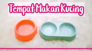 Unboxing Tempat Makan Kucing yang sedang Promo || Kucing