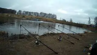 Форель в Кокино 