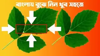 Watermark Removal Technique Very Easy way Bangla in Photoshop