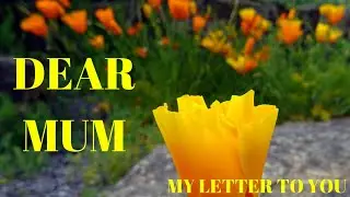 MOTHER AND SON QUOTES | SINGLE MOTHER QUOTES | BEST MUM QUOTES | MOTHER AND DAUGHTER QUOTES