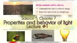 light and its properties class 5 |Lecture # 1|chapter 7| properties of light #sindhboard #fypシ゚viral