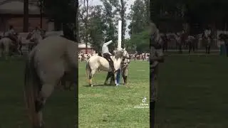 Nahuel Griolio vs El Ceniza #short #shorts