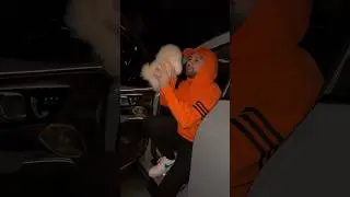 Ես ու իմ նոր շունիկը 🥹🧡