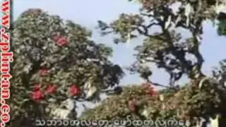 chin tong tan-4