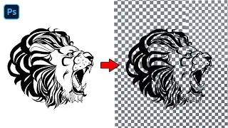 Best way to remove white background in Photoshop