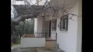 Mersinde Kiralık Ev Bakıyoruz (Mersinde Kirayı  Çogunlukla Yıllık İstiyorlar