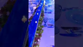 PXL 20220727 190525441 1