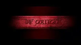 The collector the collection the man cave