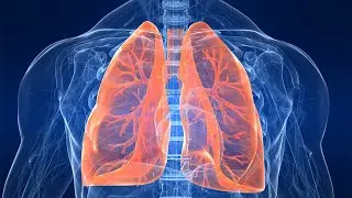 How to Breath