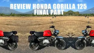 REVIEW HONDA MONKEY 125CC - AKHIRNYA JADI JUGA!!