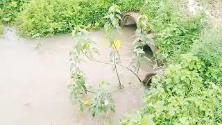 विश्व का सबसे अधिक बारिश वाला Tourist Places | सबसे खूबसूरत जगहें | घूमने के लिए सर्वोत्तम स्थान |
