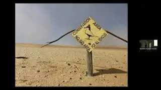 Bird Club presentation: The Your Tern Project by Prof. Jolanda Veldhuis and Ruben Fijn