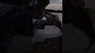 ВЫХОД НОЧНОГО СУДАКА