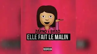 Zarno (NWAR) x Brad - Elle Fait Le Malin (Prod. ZarnoMixBeats)