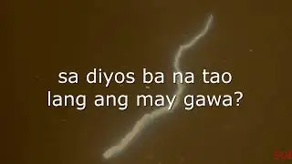 SA DIYOS KAMI MAGTITIWALA -THE REDEEMED BAND