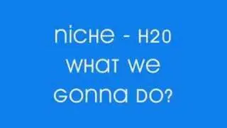 Niche - H20 - What We Gonna Do?/What's It Gonna Be?