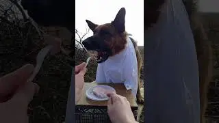 Захватите немножко колбаски 