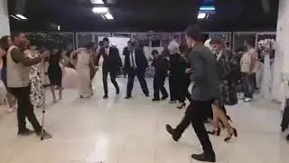 Evlerinin Başında Açtım Bacalarını