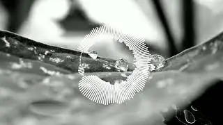 Benny Benassi - I Love My Sex