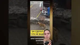 Истинная доброта😭💔 