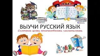 Склонение целых количественных числительных