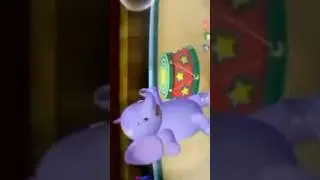 Silly Sock Saves the Circus Home Sweet Home