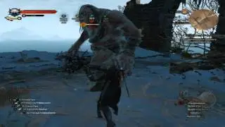 The Witcher 3 [Quick Level Up] New Game+