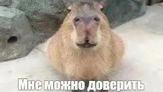 УВЕРЯЮ ВАС МНЕ МОЖНО ДОВЕРИТЬ ЯДЕРНОЕ ОРУЖИЕ 💀💀💀💀