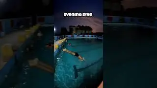 Evening Swimming Dive 🏊🏻‍♀️ #swimming #swimmingtips #learnswimming #dive