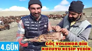 AFTER THE COLD NIGHT, WE SLAUGHTERED A LAMB AND ATE IT (Day 4)