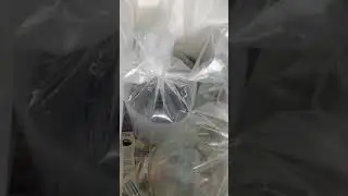 Море морем а рыбка приезжает!