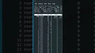 How to Use the top Command in Kali Linux  