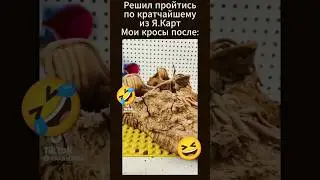 жиза = 👍 