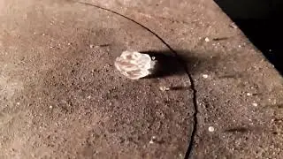 Leidenfrost effect