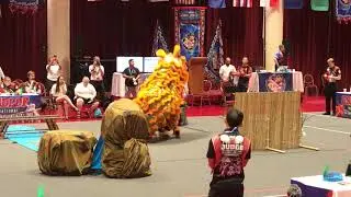 USDLDF 2nd Lion Dance Competition 2019 - Hawaii Lion Dance Association