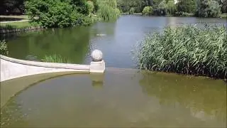 "Der Lietzensee in Berlin-Charlottenburg, 2020"--  Wolfgang Schmökel
