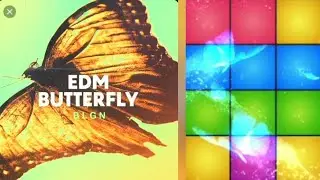 EDM Butterfly🎧🦋 || BLGN || Drum Pad Machine #dpm