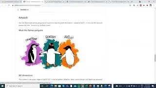 Data transformation using the tidyverse dplyr package and the palmer penguin dataset in Google Colab