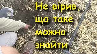 Літній коп монет 2024. Пошук знахідок в полі