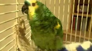 Want Some Love
