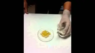 eda akgün küp şekerin üzerine sülfirik asit