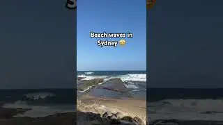 Relaxing😍 #shorts #sydney #oz #australia #travel #beach #vacation #relax #foryou #fypシ #trending