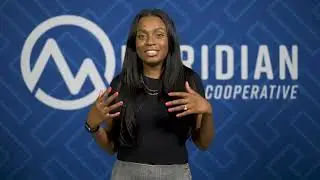 Meridian Analytics Solutions with Allison Omieno