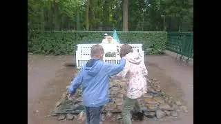 Дворец Монплезир
